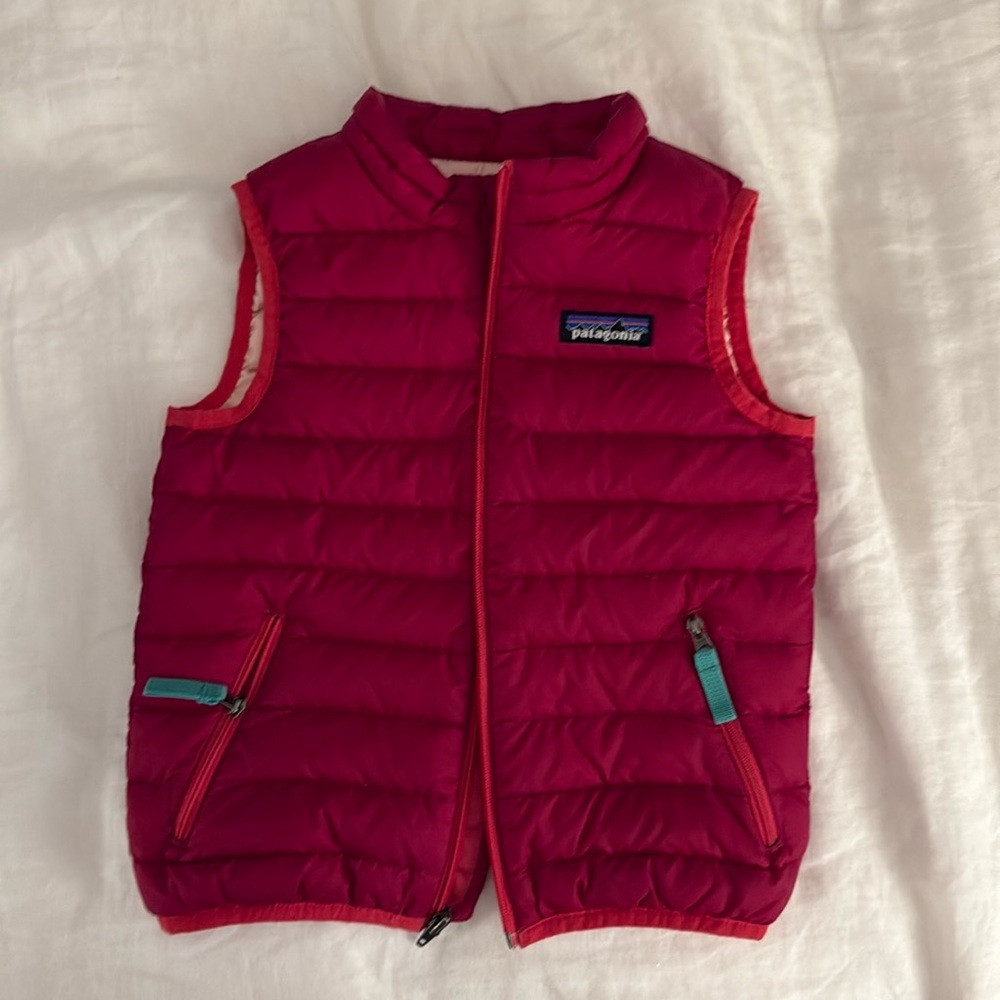 Patagonia vest